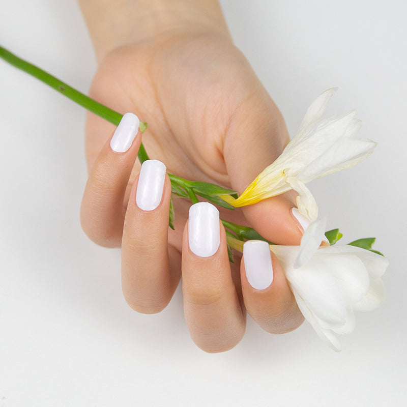 LIMITED OFFER Full Set Mani and FREE Pedi